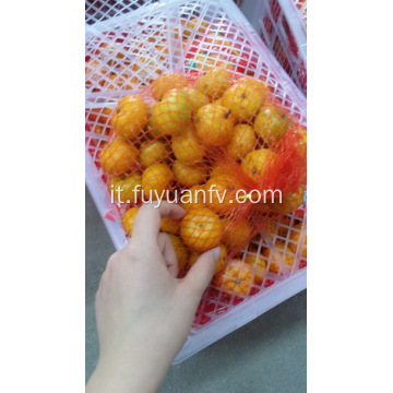 Famoso Nanfeng baby mandarino